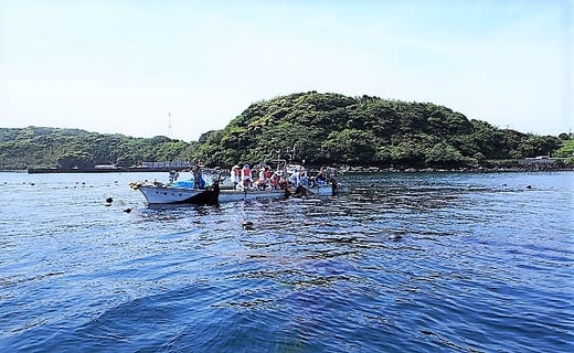 
定置網体験　実施時期4月～11月（8月～9月休み）
