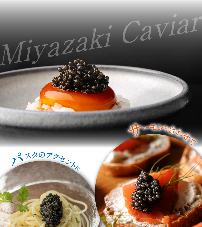 宮崎キャビア1983(200g) N027-YI029