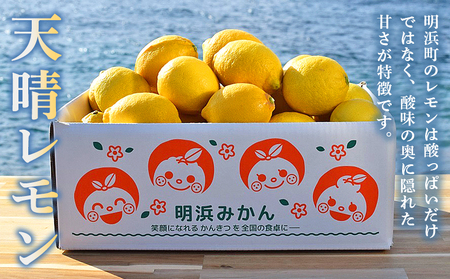 ＜天晴レモン 贈答用 約5kg＞ フルーツ 果物 くだもの レモン れもん 檸檬 柑橘 プレゼント 贈り物 お返し お礼 ギフト アレンジ 料理 国産 国産レモン 愛媛県産 特産品 株式会社笑丸 愛媛