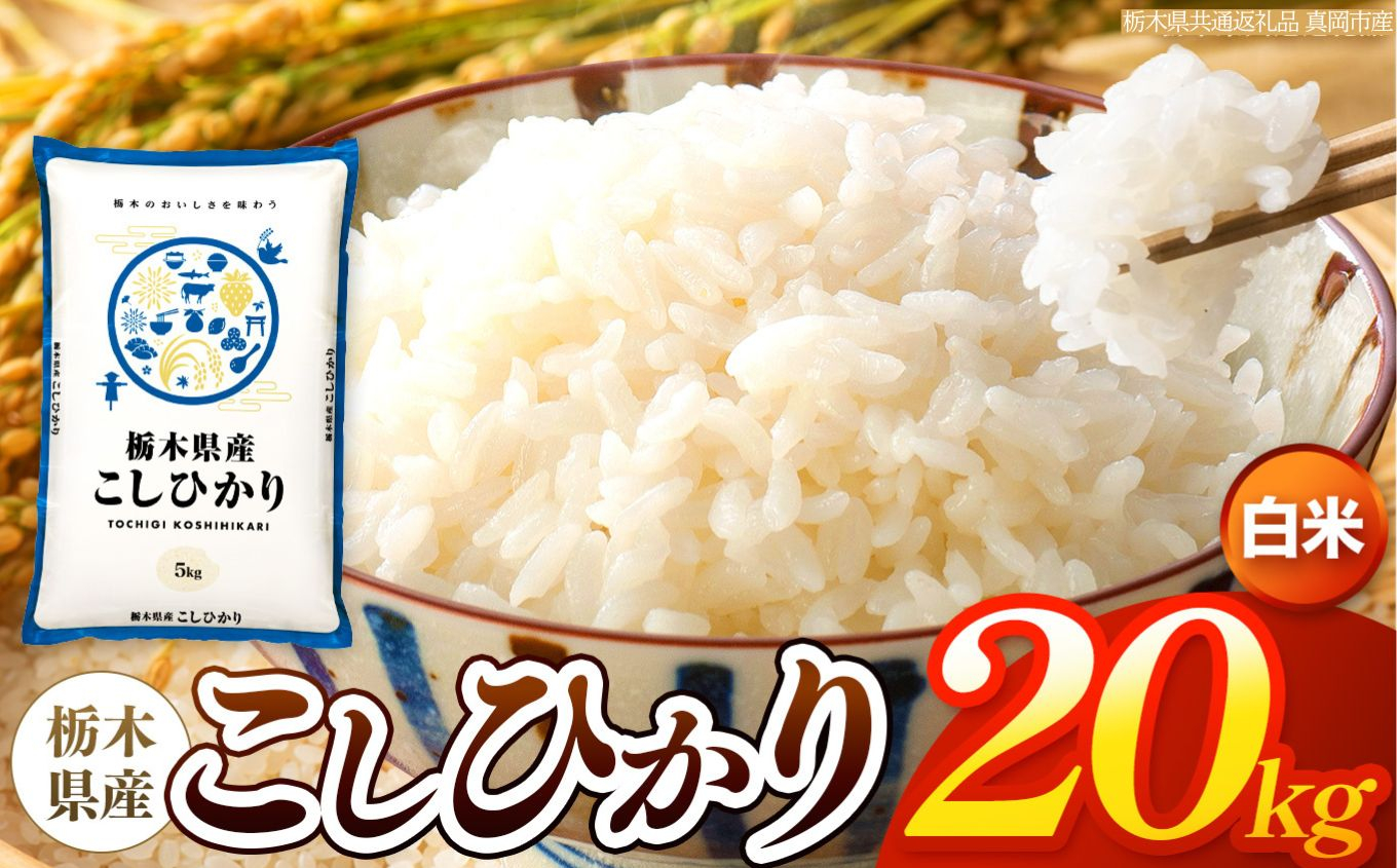 【令和8年産 新米】 栃木県産 お米 こしひかり　（白米） 20kg 【2026年秋以降発送 】 |  栃木県 矢板市 【栃木県共通返礼品 真岡市産】