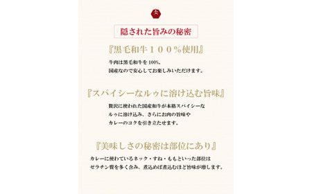 イイジマ和牛カレー 4個入り レトルト ビーフカレー 4食入り 肉のイイジマ（DU-83）