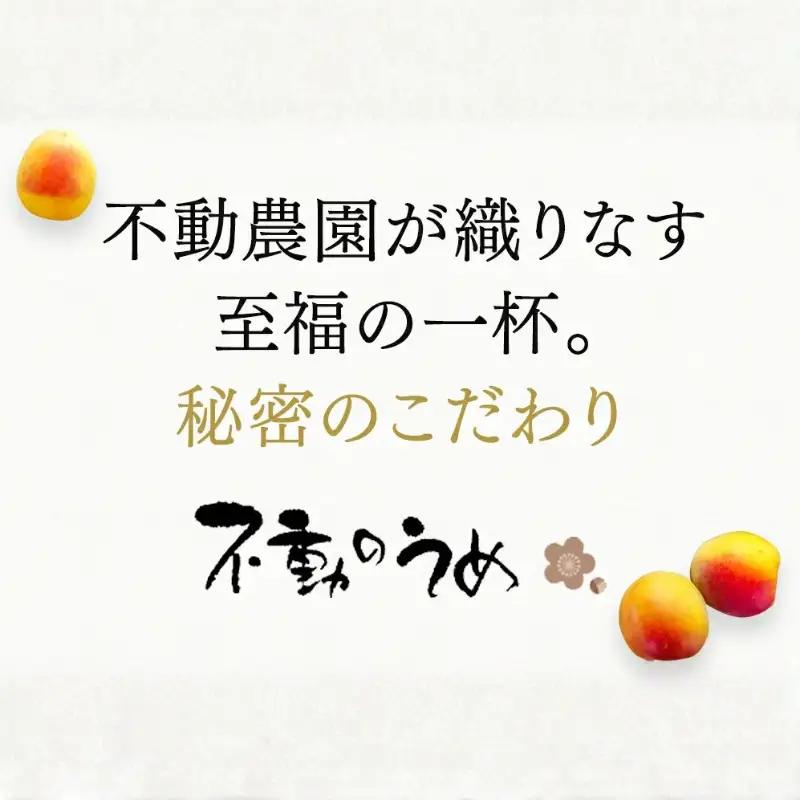 完熟梅酒「上芳養」（アルコール度数13％以上14％未満）720ｍｌ×６本  / 和歌山県 和歌山県産 不動農園 上芳養 田辺市 南高梅 紀州南高梅 完熟梅 梅酒 お酒 無添加梅酒 無添加 ロック 水割