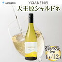 【ふるさと納税】YOAKENO 天王原シャルドネ 750ml 【選べる本数 1本or12本】 ふるさと納税ワイン シャルドネ 白ワイン 酒 果実酒 贈答 ギフト プレゼント 晩酌 宅飲み 家飲み キャンプ BBQ バーベキュー パーティー 熨斗 のし 名入れ不可 送料無料 山梨県 笛吹市 177-4-081