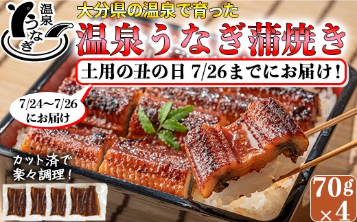
                  土用の丑 までに（7/24～7/26）お届け 完全無投薬養殖 温泉うなぎ蒲焼 (カット) 70g×4【大分水産】国産 食べきり 個包装 小分け 冷凍 レンチン 真空 贈答 ギフト 受賞 美味しい 蒲焼き かば焼き かばやき おすすめ 惣菜 ランキング うなぎ ウナギ 鰻 うな丼 うな重 うなどん うなじゅう 海鮮 国産 九州 大分県 スタミナ 夏バテ 丑の日 土用の丑の日 ＜104-059＞
                