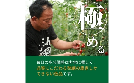 【トマト】高糖度やりすぎトマト 1kg（2026年6月上旬～発送）