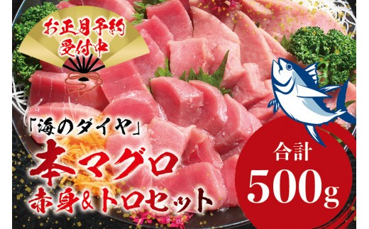 本マグロ（養殖）トロ＆赤身セット 500g 【12月25日～29日に発送】【配達日指定不可】高級 クロマグロ  中トロ 中とろ まぐろ マグロ 鮪 赤身 柵 じゃばらまぐろ 年内配送 年内発送 お正月 正月【nks110D-sg】