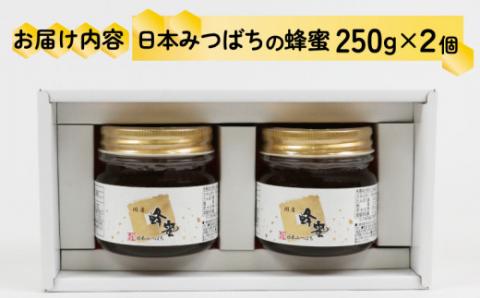 日本みつばち の 蜜 2個 セット 非加熱 宇和島農産 無添加 国産はちみつ 日本蜜蜂 ニホンミツバチ 純粋はちみつ 生はちみつ 蜂蜜 はちみつ 贈答用 国産 愛媛 宇和島 F012-132002