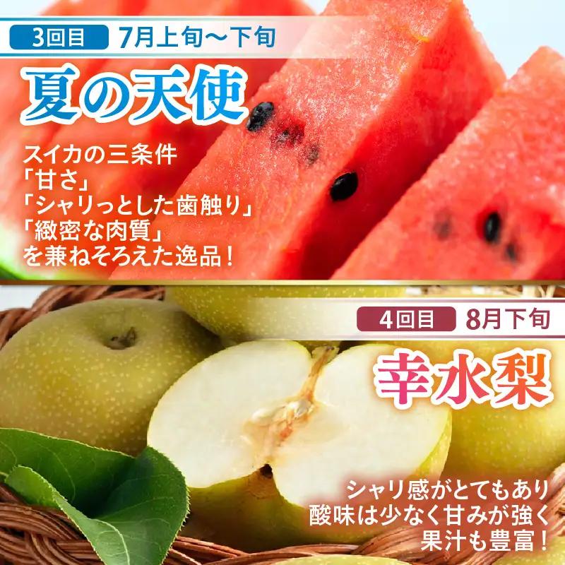 【先行予約】《全6回》あわら満喫 6種 フルーツ定期便 《あわらの旬が色々楽しめる♪》／ 果物 旬 食べ比べ 贈り物 定期便 マルセイユ アールス 大玉スイカ 梨 柿 ※2027年6月中旬以降順次発送