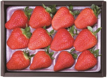 【期間限定】サンベリー蒲郡いちご「ゆめのか」（12個入）_【G0703】