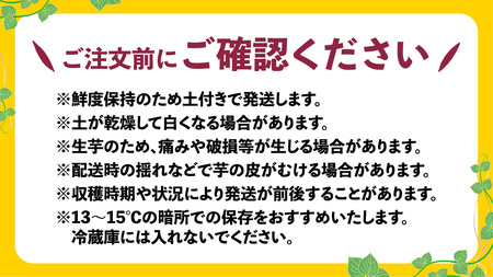 【 訳あり 無選別 】【 熟成 】 八千代町産 土付き 紅はるか 生芋 約10kg さつまいも 焼き芋 大学芋 スイーツ 産地直送 [AX010ya]
