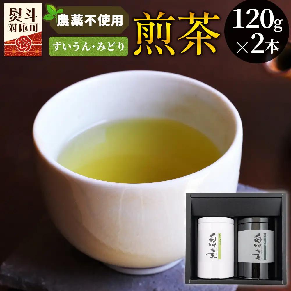 農薬不使用！煎茶 ギフト NO.15 （ずいうん120g＋みどり120g 計240g） 常磐園 日本茶 緑茶 茶葉 白川茶 お茶 春摘み 大容量 岐阜県 東白川村 お取り寄せ 贈答用 プレゼント 母の日 ギフト