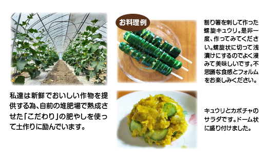キュウリ 採りたてシャキ旨！ 約1,500g　40P3219