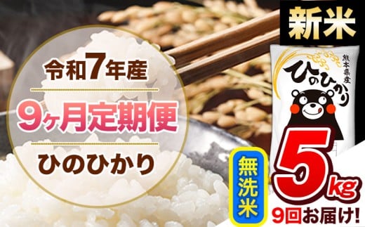 【9ヶ月定期便】新米 令和7年産 無洗米 定期便 ひのひかり 5kg 《お申込み翌月から出荷》 熊本県産 ふるさと納税 精米 ひの 米 こめ ふるさとのうぜい ヒノヒカリ コメ 熊本米 ひのもり