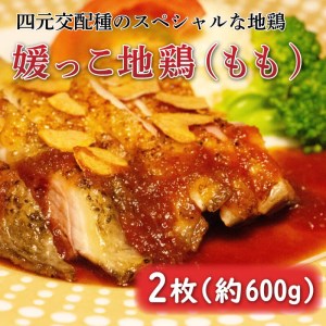 数量限定 最高級 地鶏 ブランド 媛っこ地鶏 モモ肉 約600g こだわり 鶏肉 鶏皮 小分け