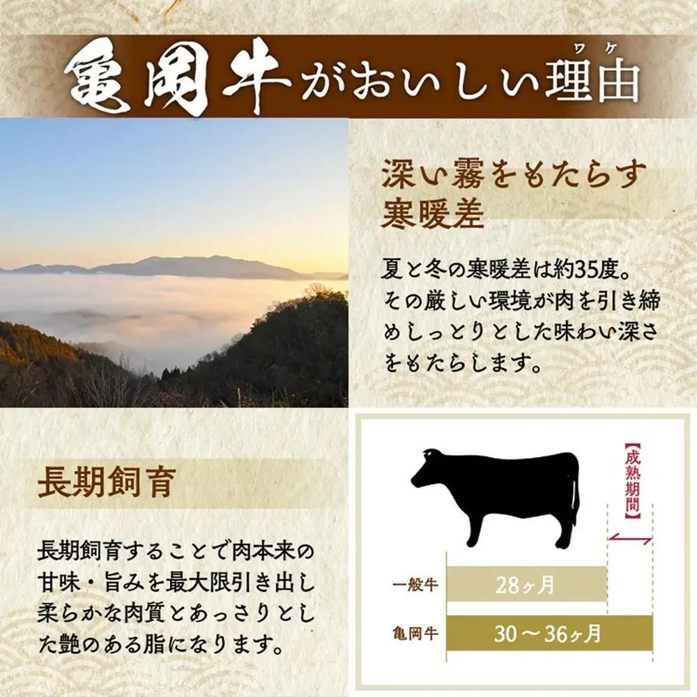 亀岡牛 赤身焼肉 300g 訳あり焼肉