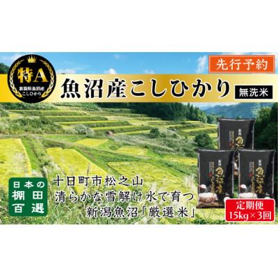 ふるさと納税 十日町市 【発送月固定定期便】先行予約10月〜発送【無洗米　食味鑑定士厳選】棚田百選魚沼こしひかり15k全3回