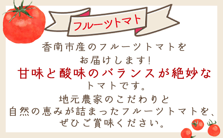 【2026年1月以降発送】フルーツトマト 2kg 家庭用 - 国産 青果 野菜 トマト 訳あり ご家庭用 甘い 酸味 不揃い 傷 やすらぎ市 高知県 香南市 冷蔵 yr-0067