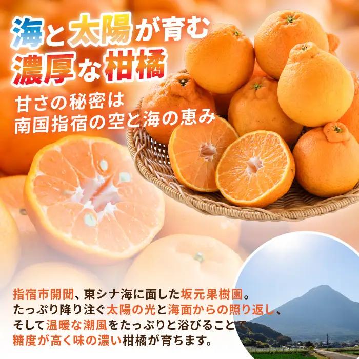 みかん農家坂元さんちの手作り不知火ジャム DECO DECO 5個セット 坂元果樹園 IB043-010