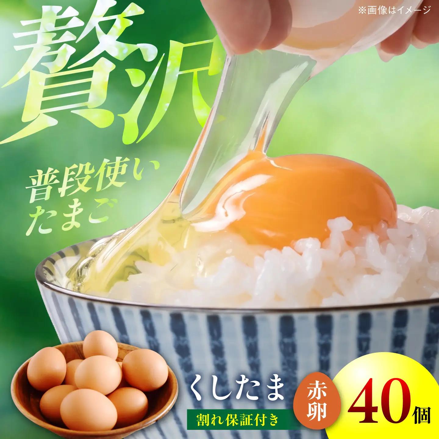 くしたま赤卵 40個（36個＋割れ保証4個）/ 卵 たまご 鶏卵 赤卵 大容量 / 稲沢市 / 櫛田養鶏場[BMAY004]