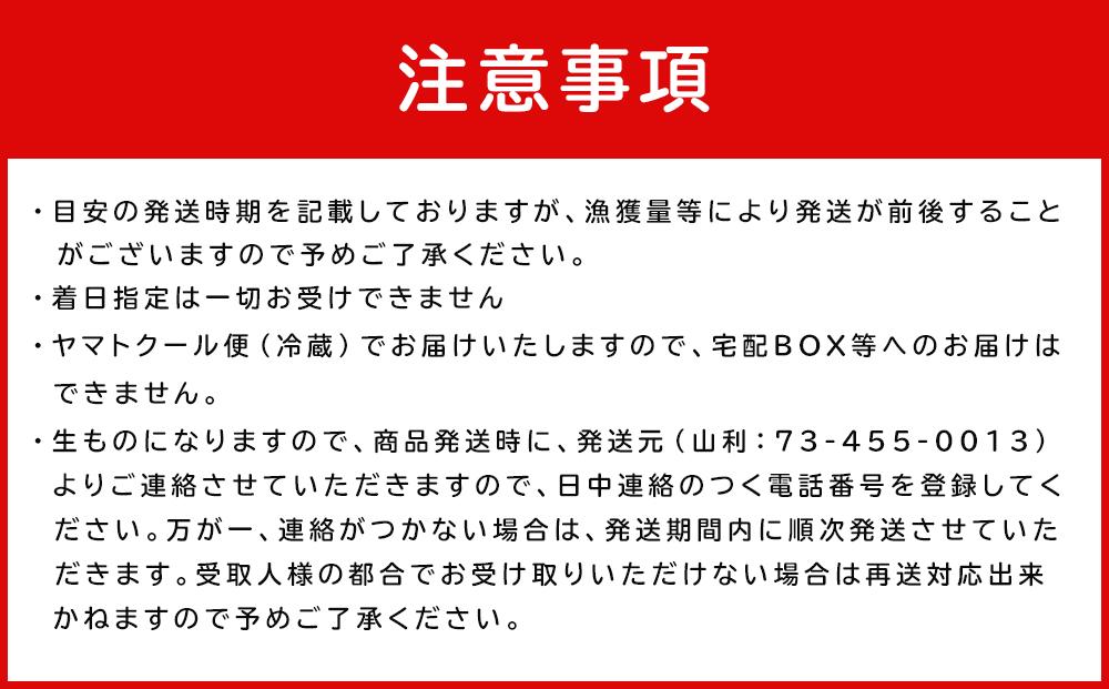 七代目 山利 釜あげしらす 900g 紙箱入り 冬しらす【2027年発送】