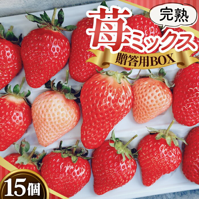 【ふるさと納税】No.399 完熟苺ミックス15粒贈答用BOX ／ 厳選 大粒 イチゴ いちご 果物 フルーツ 送料無料 大阪府