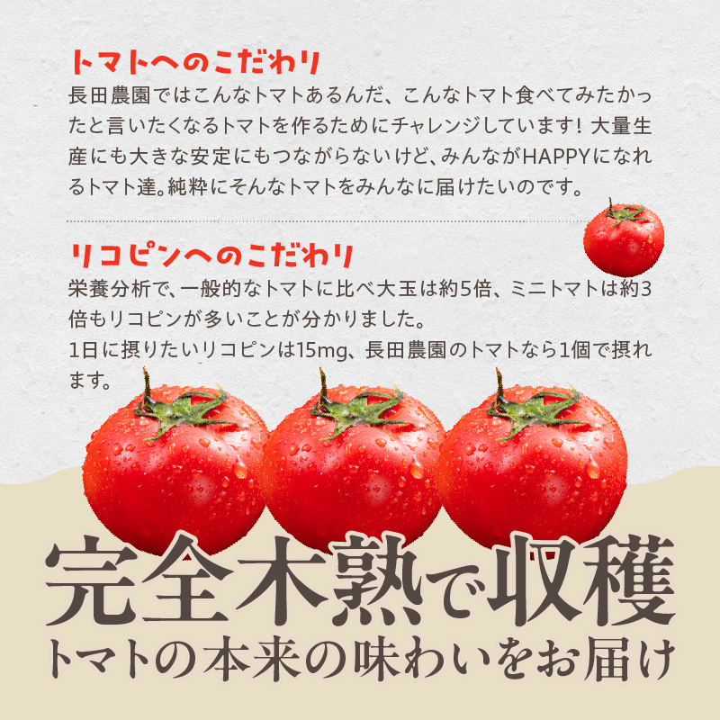 1月～6月毎月発送　プレミアムフルーツトマトの定期便　6回コース　H004-163