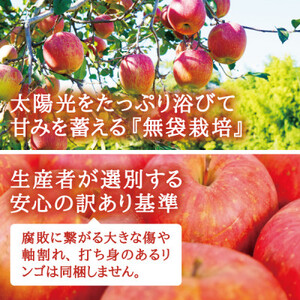 宮城県産  ご家庭用 サンふじ5kg(11～20玉入り)生産者選別済みのリンゴ_果物・フルーツ りんご  リンゴ 林檎_【1461381】