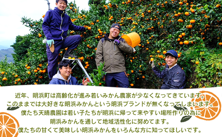 愛媛県明浜産　天晴みかん（温州みかん） ３㎏