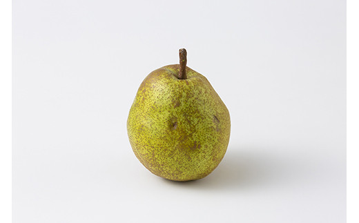 FYN9-598 《2025年先行予約》ご家庭用 山形県産西洋梨 ラ･フランス5kg 2025年11月上旬から順次発送 洋梨 洋なし ラフランス 秋果実 果物 くだもの フルーツ 訳あり 農業者 農家