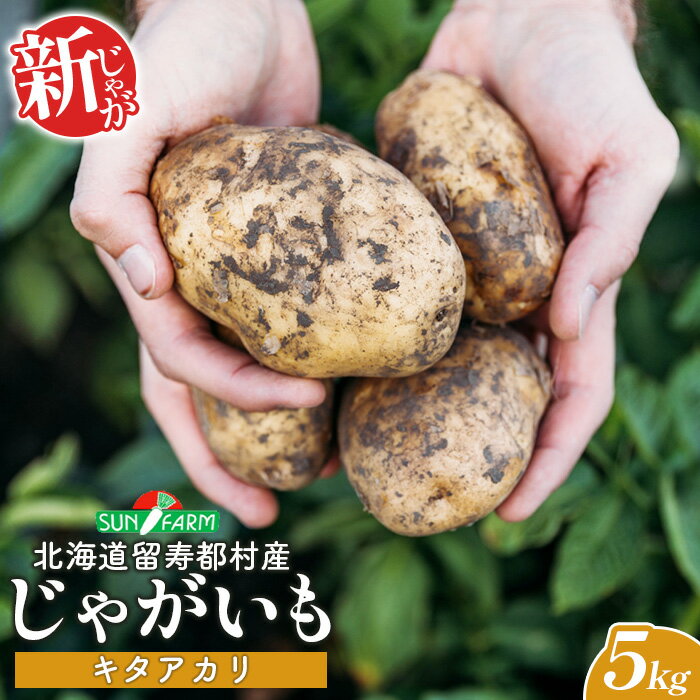【ふるさと納税】新じゃがいも キタアカリ 5kg いも おいも 芋 イモ ジャガイモ ポテト きたあかり オンライン 申請 ふるさと納税 北海道 留寿都 野菜 根菜 ホクホク 産地直送 新鮮 採れたて ポテトサラダ コロッケ スープ 5キロ 留寿都村【2401201】