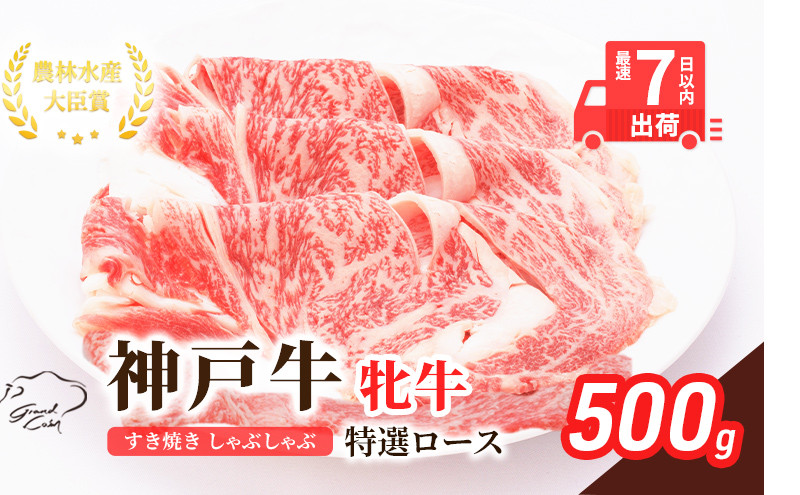 
【最短7日以内発送】 神戸ビーフ 神戸牛 牝 特選ロース 500g 川岸畜産 すき焼き しゃぶしゃぶ 焼肉 冷凍 肉 牛肉 すぐ届く
