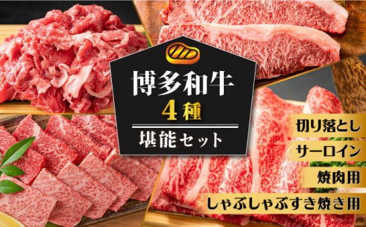 
博多和牛 堪能セット 《築上町》【株式会社MEAT PLUS】 [ABBP117] 57000円
