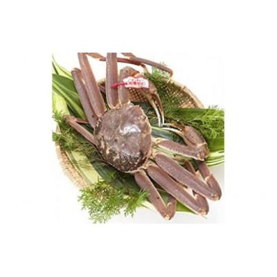 ふるさと納税 琴浦町 【訳アリ】 松葉ガニ(生)　2枚(計1.6kg以上)　【年内配送】 |  | 01