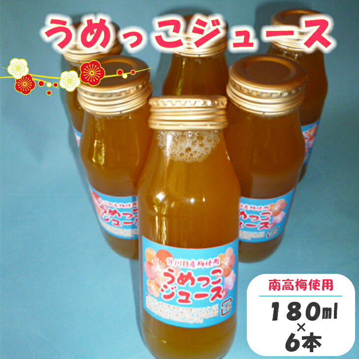 【ふるさと納税】うめっこジュース （南高梅） 180ml×6本セット 添加物不使用 梅 ジュース
