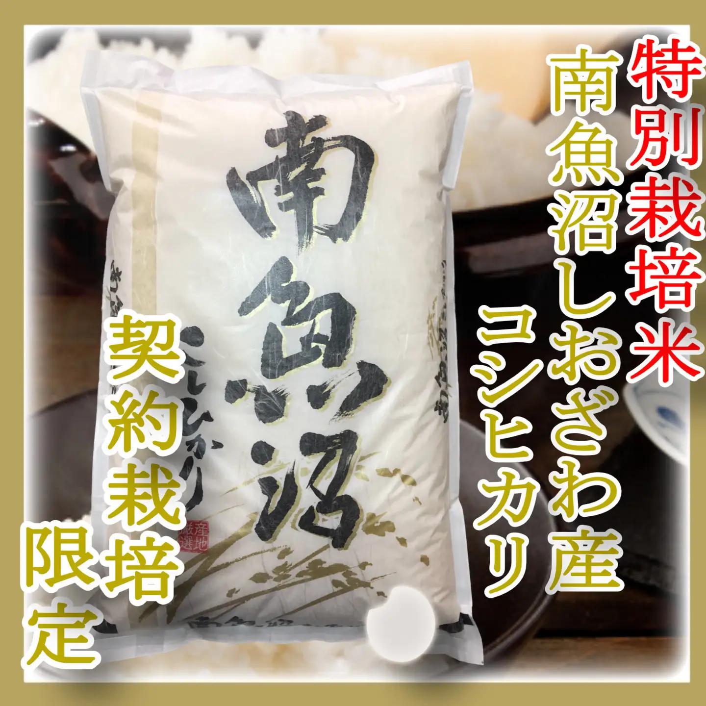 【令和8年　新米予約】【定期配送６Kg×３ヶ月】特別栽培 生産者限定  南魚沼しおざわ産コシヒカリ｜コシヒカリ【2026年10月上旬から1ヶ月以内に順次発送予定】