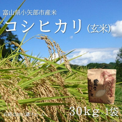 【ふるさと納税】【新米先行予約 2025年10月上旬～順次発送】令和7年富山県産「コシヒカリ」(玄米)30kg×1袋【1656063】