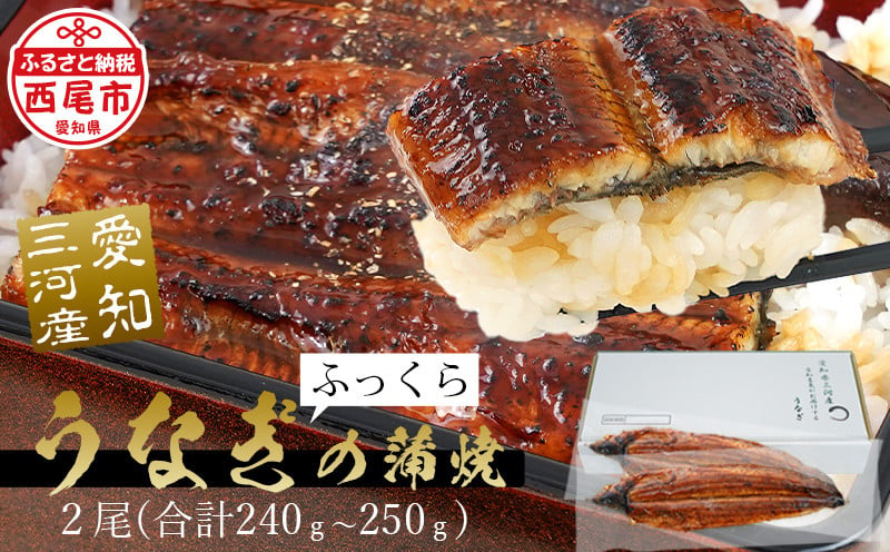 【通常発送】【期間限定】三河産うなぎ 蒲焼冷凍＜超特大＞3尾（合計580ｇ～600ｇ）「生産者愛知養魚」がお届け うなぎ 蒲焼き 鰻 ウナギ 国産うなぎ 愛知県 西尾市 大きいうなぎ 丑の日 土用の丑の日 A091-25-1