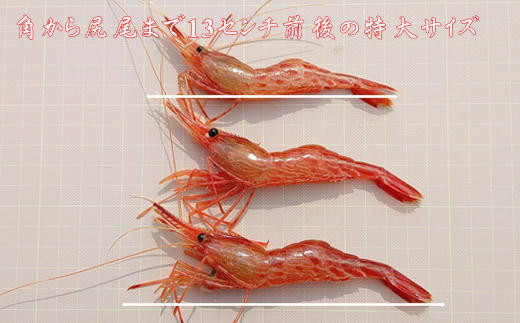 8-022-003　冷凍甘えび・しまえびセット 各500g