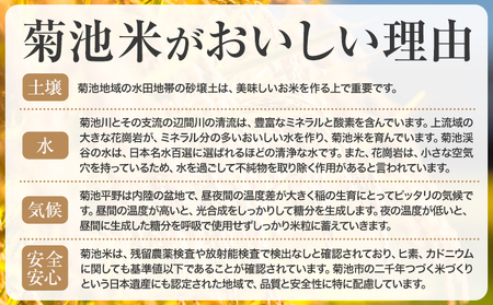 【12ヶ月定期便】熊本県産 菊池米 玄米 無洗米 5kg 1袋5kg 米 お米 令和7年産 九州産 熊本県産 送料無料《お申込み翌月に出荷予定》玄米 米
