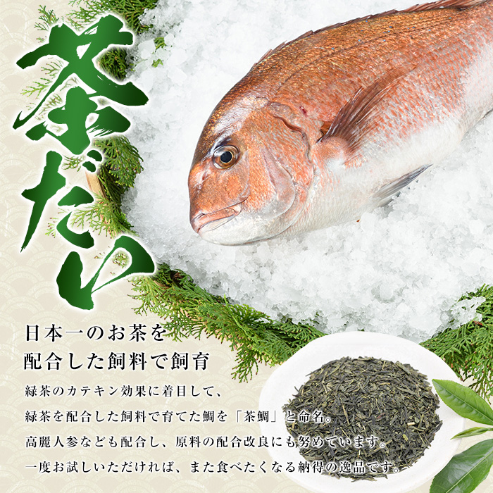 茶鯛 1尾 (約2kg)【ウスイ】_usui-1034