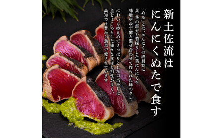 芸西村厳選1本釣り本わら焼き「芸西村本気極カツオのたたき（2～3人前）×4節、銀象ソルト+有機無添加土佐にんにくぬた、タレ付き」〈高知県共通返礼品〉