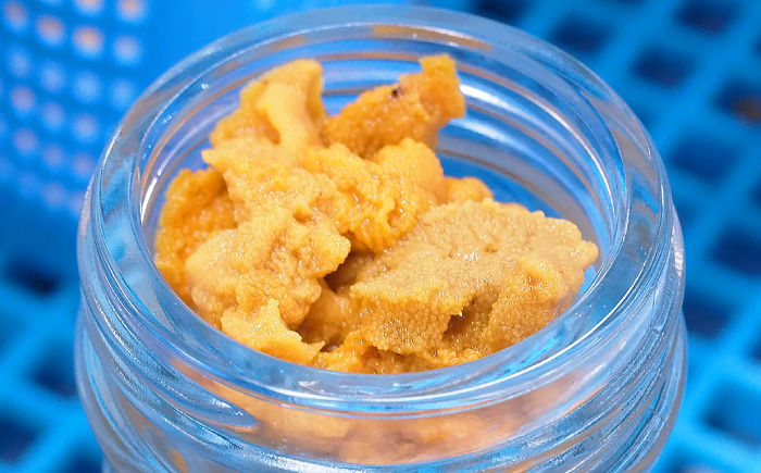 【全12回定期便】【冷凍】壱岐産粒うに瓶セット　60g×2本　《壱岐市》　【一支國屋】 [JCC015] 300000 300000円 30万円