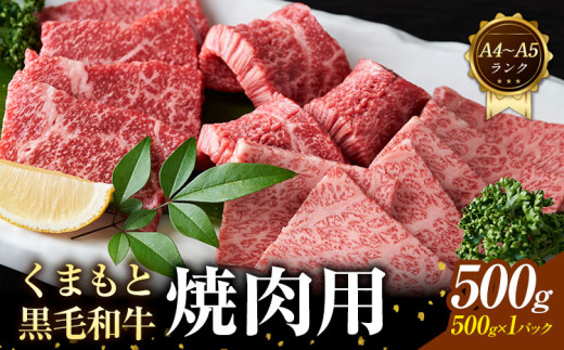 【A4～A5】くまもと 黒毛和牛 焼肉用 500g 《30日以内に出荷予定(土日祝除く)》熊本県 大津町 黒毛和牛 肉 お肉 和牛 牛 牛肉 A5 A4 小分け