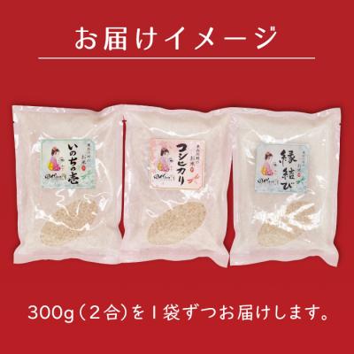 ふるさと納税 東白川村 東白川村産 お米3銘柄食べ比べ 白米 お試し2合×3袋 合計900g |  | 03