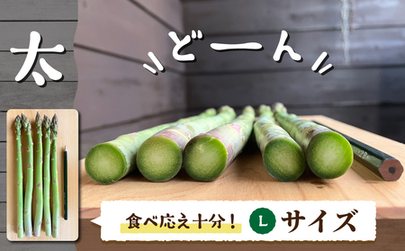 【先行受付2026年発送】農家直送！新鮮！春獲れ太（L）アスパラ約1kg（おおよそ30～40本）｜のららぼ農園 ※2026年4月上旬～5月下旬発送予定