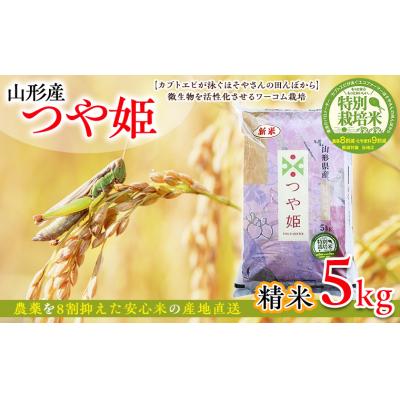 ふるさと納税 山形市 令和6年産 つや姫 5kg (精米) 特別栽培米  FY25-125