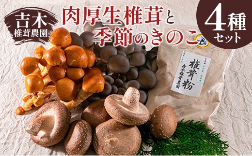 吉木椎茸農園　肉厚生椎茸と季節のきのこセット_YO087_001