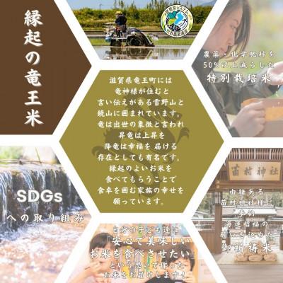 ふるさと納税 竜王町 【令和7年産新米】特別栽培米 十代目松治のミルキークイーン「縁起の竜王米」 白米5kg 滋賀県産 |  | 03