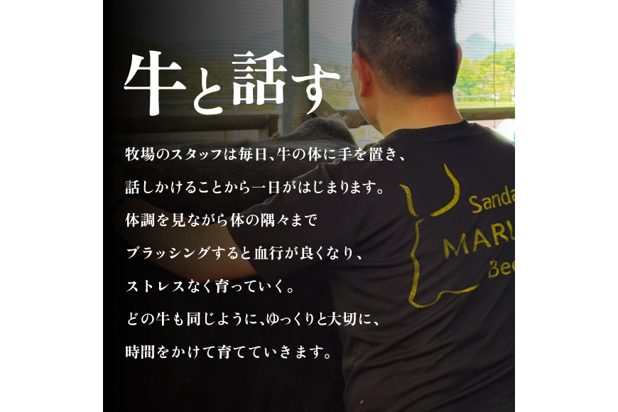 【ふるさと納税】 三田 マルセ牛 すき焼 580g  すき焼 スキ焼 スキヤキ しゃぶしゃぶ 勢戸 マルセ まるせ 牛肉 ギフト 肉 お祝い 但馬牛 神戸牛 三田牛 数量限定 訳あり ふるさと納税 ふ