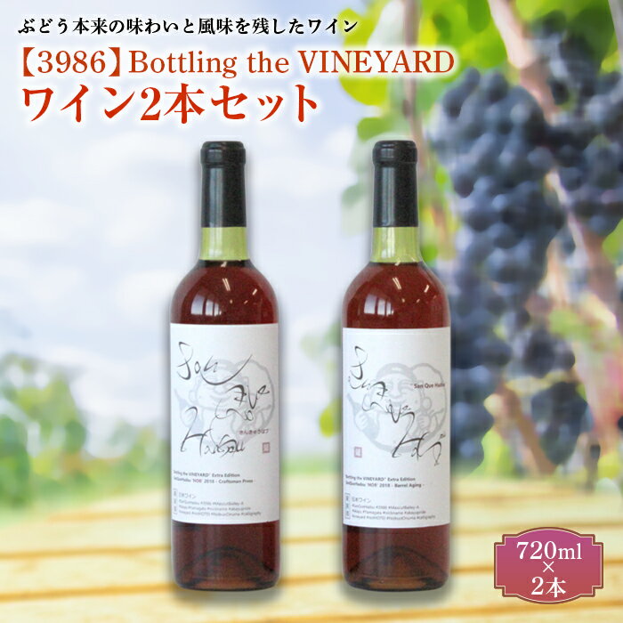 【ふるさと納税】 【3986】Bottling the VINEYARD ワイン2本セット 山形県 南陽市 [998]